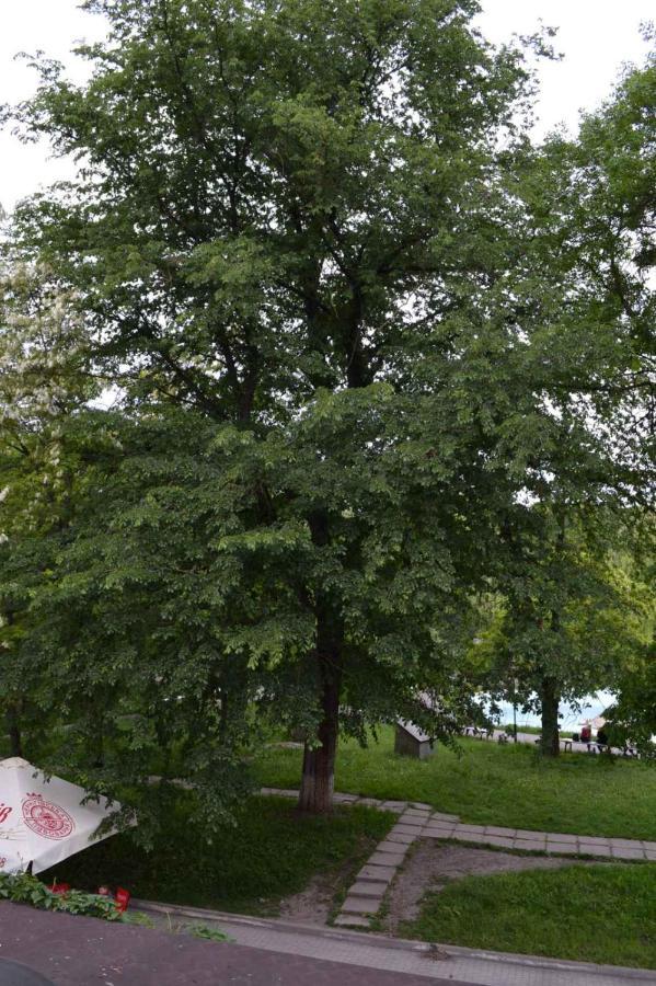 Квартира Двохкімнатна Фонтан Διαμέρισμα Kamianets-Podilskyi Εξωτερικό φωτογραφία