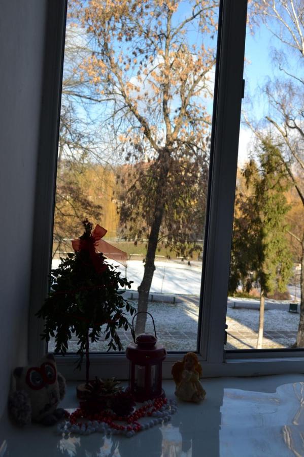 Квартира Двохкімнатна Фонтан Διαμέρισμα Kamianets-Podilskyi Εξωτερικό φωτογραφία